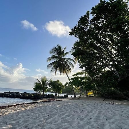 Villa Caraibes Sainte-Luce Exterior foto